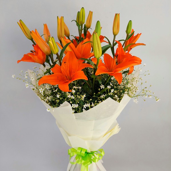Orange Asiatic Lilies